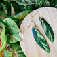 Variegated Shell Ginger (Alpinia Zerumbet 'Variegata')