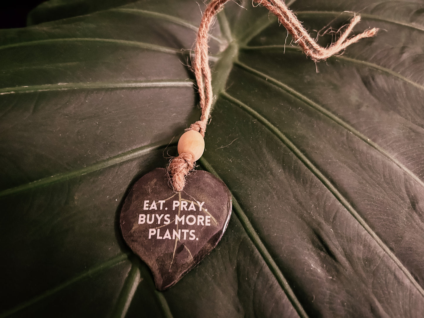 Plant Leaf Quote Decor